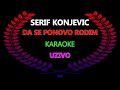 Serif Konjevic Da se ponovo rodim (Karaoke)