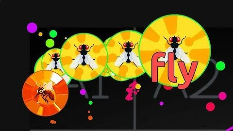 Fear The Fly! - Blob.io Macro