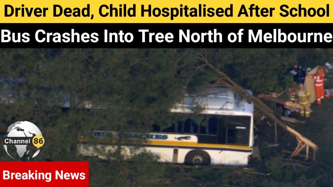 Driver dead, child hospitalised after school bus crashes into tree ...