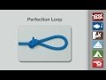 How to tie a perfection loop knot  fishing knots