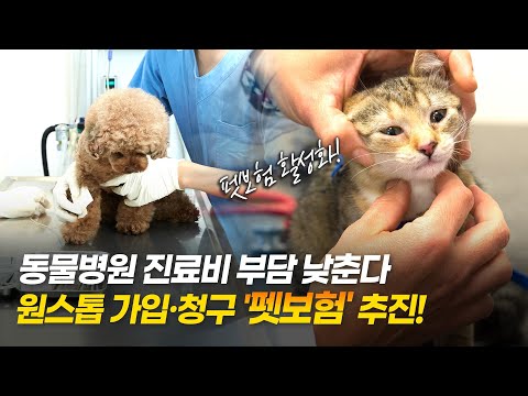 동물병원 <strong>진료비</strong> 부담 낮춘다, 원스톱 가입・<strong>청구</strong> &amp;#39;펫보험&amp;#39; 추진!