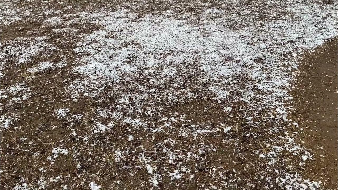 How to keep dogs water from freezing YouTube