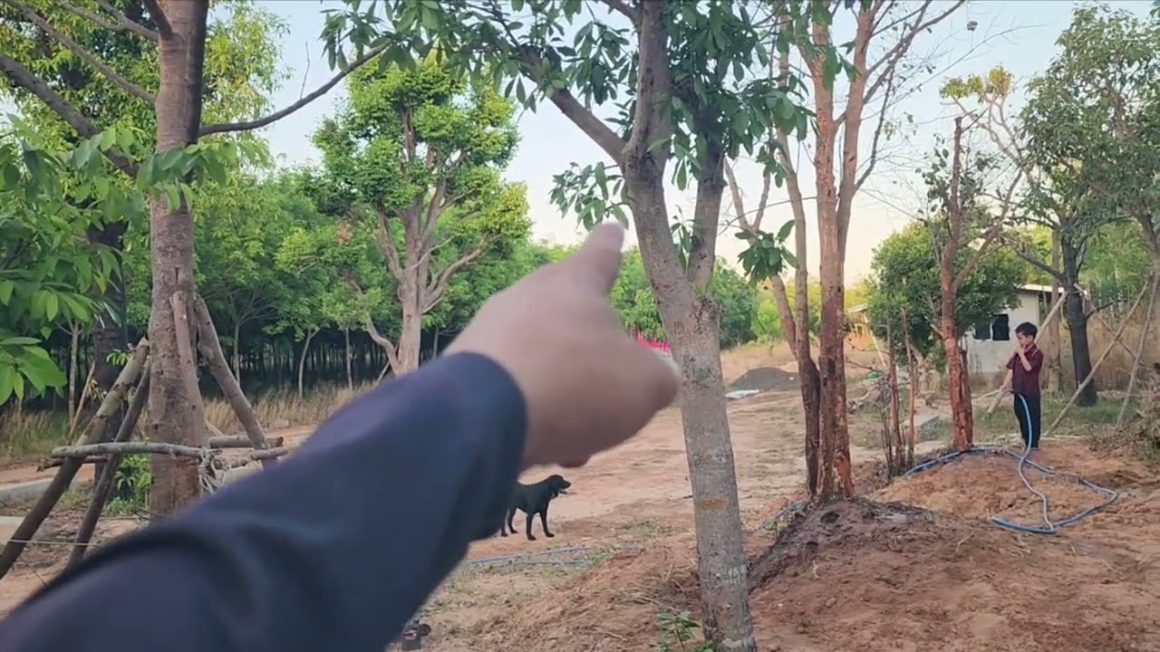 ปลูกต้นมั่งมีทั้งวัน...ไม่มีเวลาเลยวันนี้