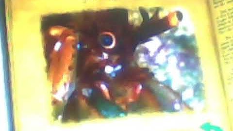 Finding Nemo Mr. Ray