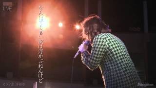 泉 沙世子 「カス 」LIVE - YouTube
