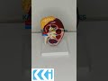 Video Image