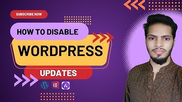 WordPress Themes and Plugins Update Disable Tutorial 2024 |  Stop Automatic Updates