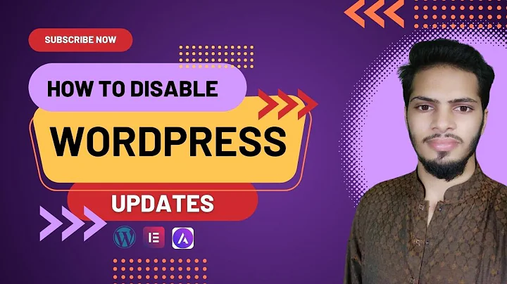 WordPress Themes and Plugins Update Disable Tutorial 2024 |  Stop Automatic Updates
