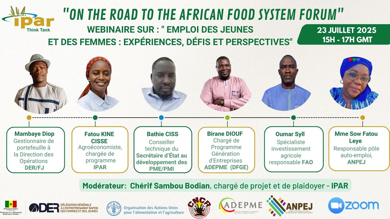 Emploi des jeunes et des femmes  expériences, défis et perspectives