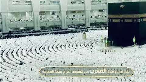 ' سورة يونس  ٥٧ - ٦٤  ' الشيخ #فيصل_غزاوي  صلاة المغرب  ١٨-٩-١٤٤٤ هـ