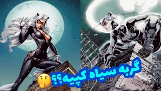 گربه سیاه کپیی از روی زن گربه‌ای هستش؟؟?Black Cat or Catwoman