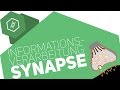 Synapse - Informationsverarbeitung