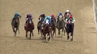 PIMLICO 05 17 2024 RACE 13