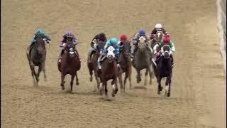 PIMLICO 05 17 2024 RACE 13