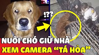 Nuôi chó để giữ nhà, con Sen check camera thì 'TÁ HỎA' vì thấy cảnh nó lạ lắm 😅 | Gâu Đần