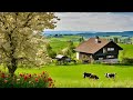 Heavenly switzerland  peaceful spring walk in swiss village frick  jurapark 