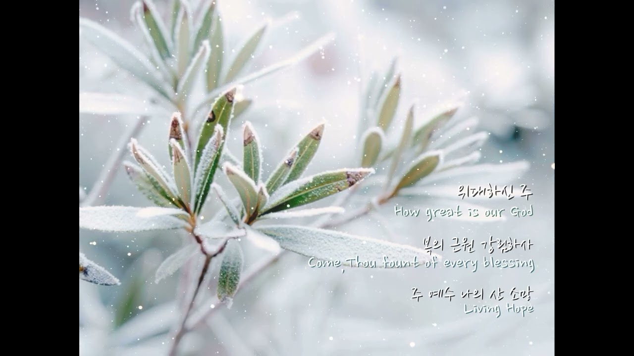 마음에 평안과 쉼을 주는 CCM 피아노ㅣ위대하신 주ㅣ복의 근원강림하사ㅣ주 예수 나의 산 소망ㅣ잔잔한 피아노 찬양ㅣ하나님의 위로와 평안이 필요한 이에게