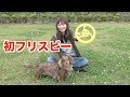 愛犬ココさんフリスビーに初挑戦！