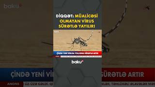 Yeni Pandemiya Təhlükəsi Yarandı? - Virus Barədə Xəbərdarlıq