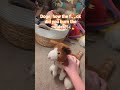 Doge Set The House On Fire!! CALL 911! #memes
