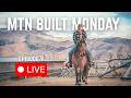 Ask Us Anything: Mules, Mustangs, or Mountain Life | MTN BUILT Monday
