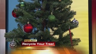 Christmas Tree Recycling 1/4/16