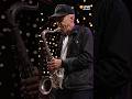 Yeah NO performs "Camper Giorno" & more Live on KEXP