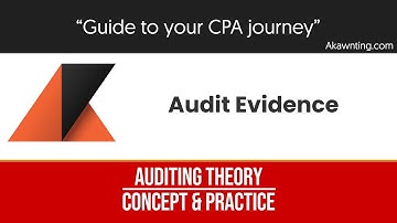 Audit Evidence