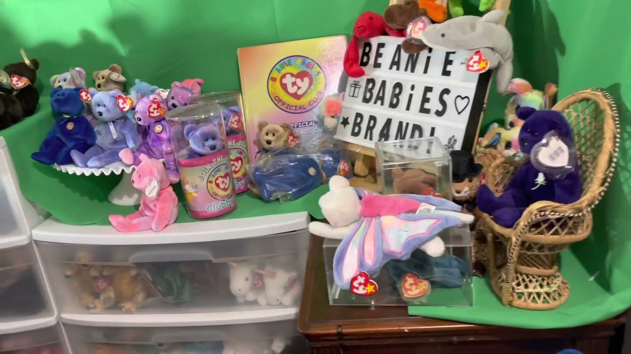 Organizing and Sorting the World's Biggest Beanie Baby Collection