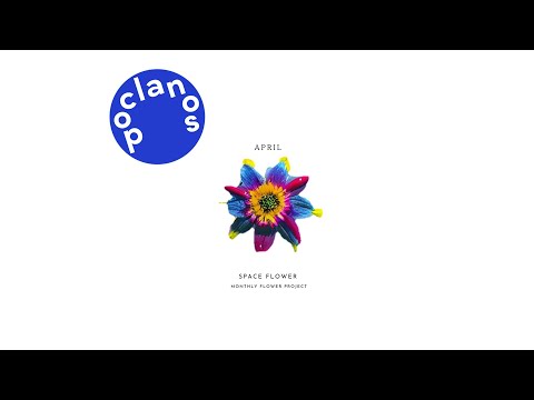 [Official Audio] PERC%NT - Space Flower