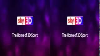 Sky 3D UK   Adverts   Continuity   June 2014