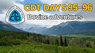 CDT Day 95-96 Bovine adventures