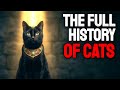 The ENTIRE History Of Cats | 10,000 BC To Today | HISTORY FOR SLEEP