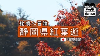 【靜岡縣秘境遊】大井川鐵道｜奧大井湖上