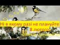 ПозитиVIV про звичаї, прикмети 8 лютого: Як запрограмувати себе сьогодні на успіх? Не виходьте з хат