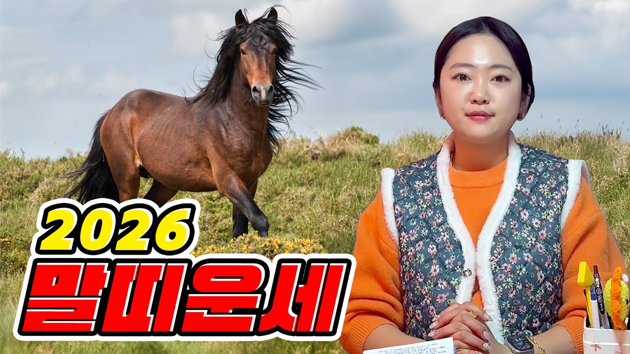 [수진보살 美운세] 2026년 띠별운세 일곱번째는 말띠🐎 붉은 말의 해! 좋을까요?