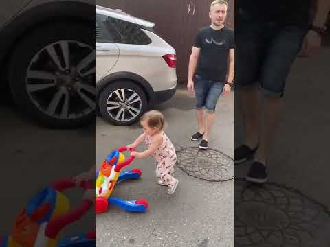 Без них никуда