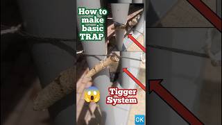 Zero Cost Survival Hack: Easy Traditional Trap Method ✨