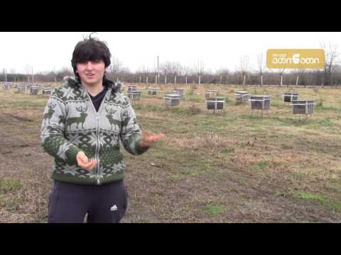 ახალგაზრდა მეწარმე