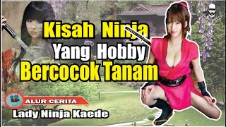 KISAH NINJA HAUS AKAN KOPLING SI JONI || Alur cerita Lady Ninja Kaede