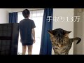 手取り13万円の男と猫のルーティンが酷すぎる...