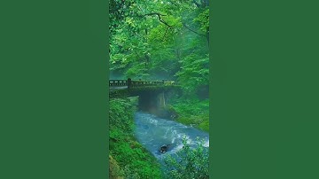 Good morning status / nature very beautiful scenes / #shorts