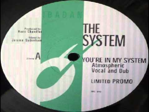 The System  ‎-- You're In My System (Kerri Chandler Remix)