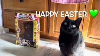 Cute black cat Aurora says Happy Hoppy Easter!