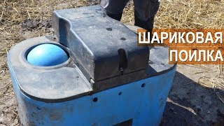 Шариковая поилка для КРС. Как это работает? Семейная ферма КФХ Герефорд