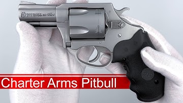 Cover Image for Charter Arms Pitbull