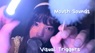 ASMR Mouth Sounds 💜 Face Tracing Triggers