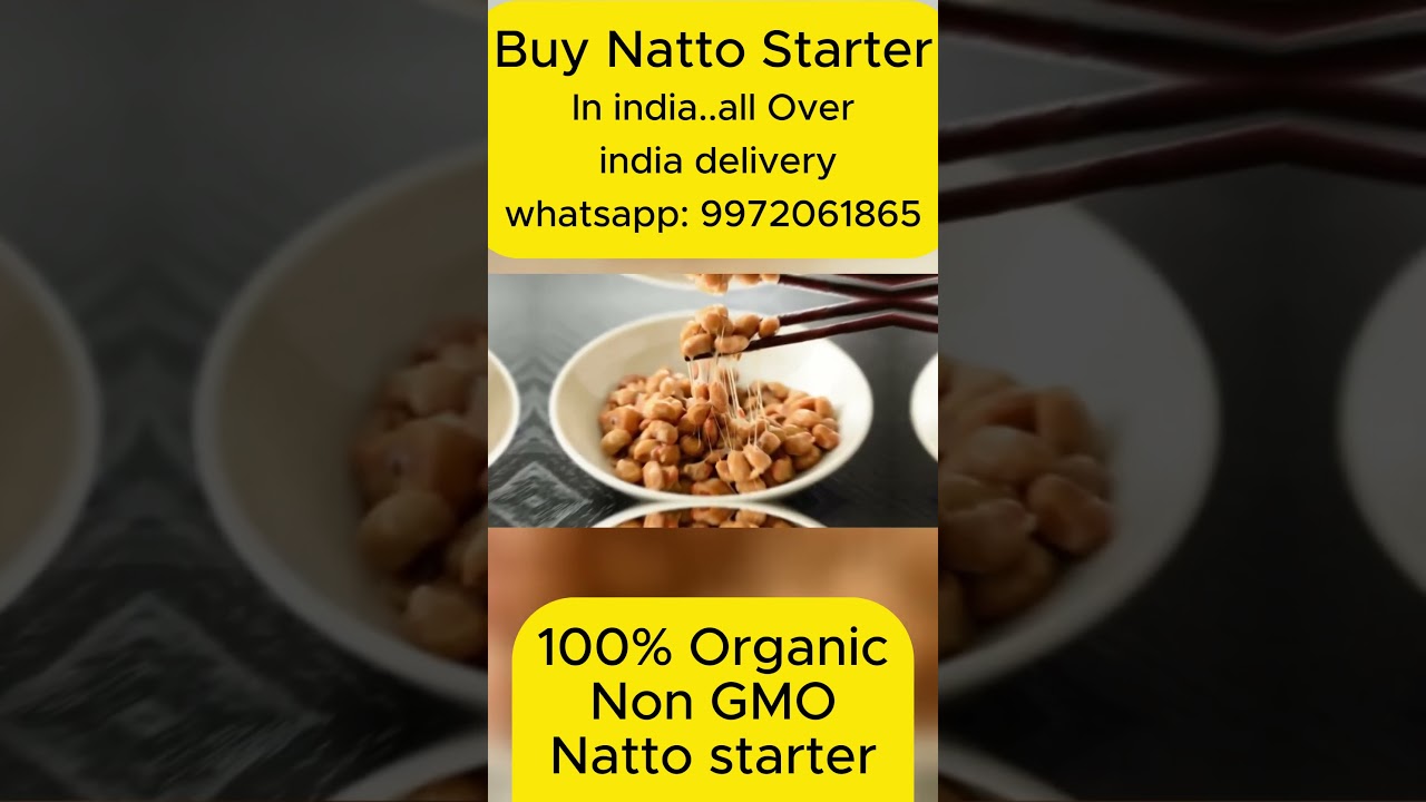 Natto starter in india | 100% organic | NO GMO | bacillus subtilis natto starter 