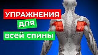 картинка: Упражнения без ПРОТИВОПОКАЗАНИЙ и болтовни! Самые полезные упражнения для здоровья позвоночника