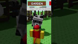 Sell Your Raccoon, Win A Giant One